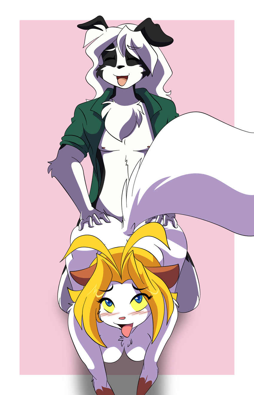 ahegao all_fours animal_ears anthro big_breasts black_fur blonde_hair blue_eyes blush breasts canine canine_ears chalo chest_tuft clothing doggystyle duo ears_down edit eyes_closed feline feline_ears feline_tail female floppy_ears fluffy_tail from_behind fur hair hi_res las_lindas long_hair male mammal open_mouth open_shirt pointy_ears randal_hawthorne sarah_silkie sex shirt shopped straight tongue tuft white_fur white_hair yellow_sclera