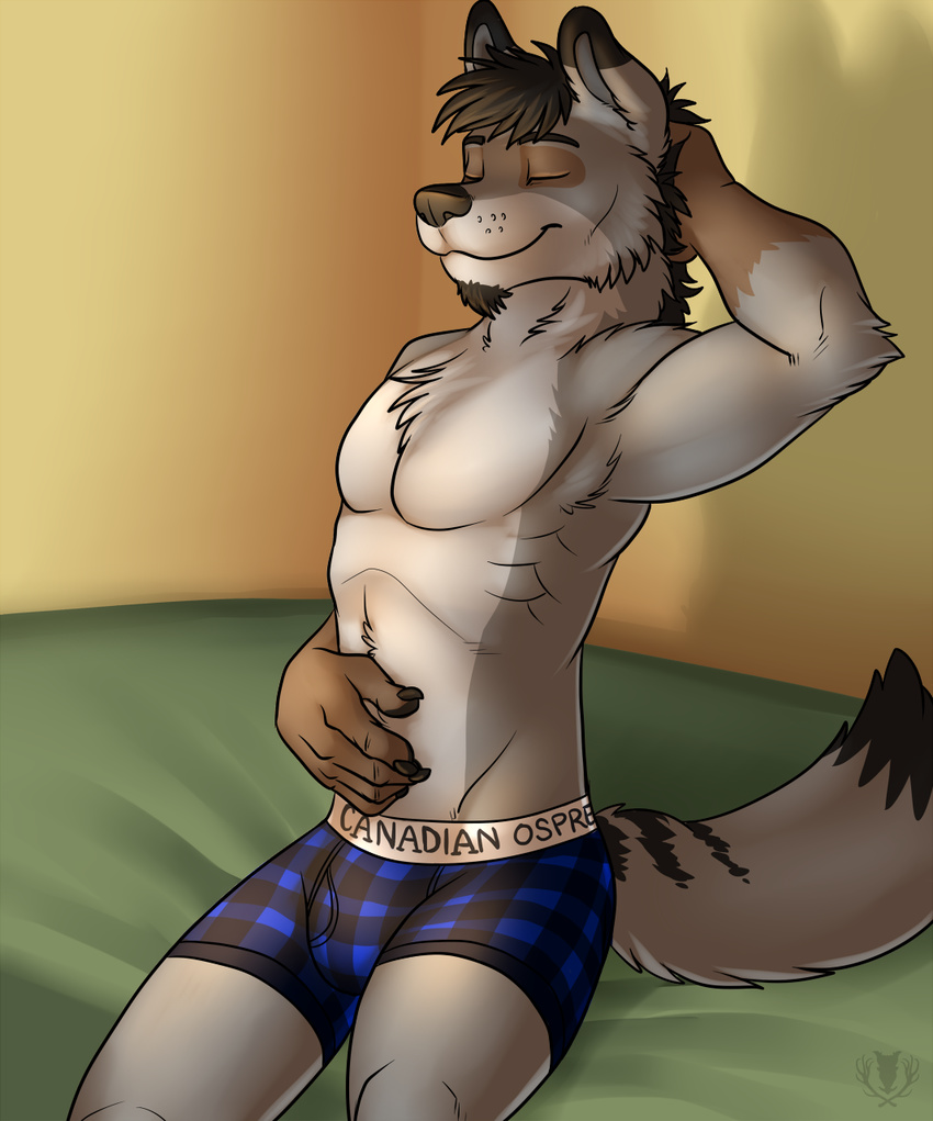 biceps boxers brown_fur bulge canine claws eyes_closed flexing fur grey_fur grin hair inside khaki_(character) male mammal muscles paws pecs plain_background sitting smile solo topless underwear vallhund wolf