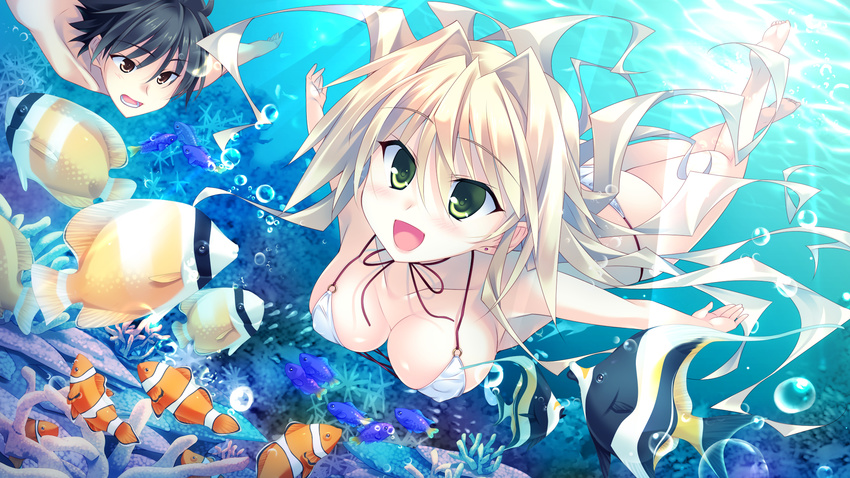 16:9 1boy 1girl barefoot bikini black_hair blonde_hair breasts covered_nipples diving erect_nipples fish freediving game_cg green_eyes guardian_place guardian_place:_do_s_na_imouto_to_3-nin_no_yome happy hibarigaoka_itsuki highres large_breasts long_hair open_mouth short_hair smile swimsuit tsurugi_hagane underwater wavy_hair yellow_eyes