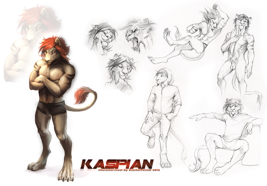 angry boxer_briefs boxerbriefs feline hoodie lion male mammal model_sheet nude sitting solo stripes underwear