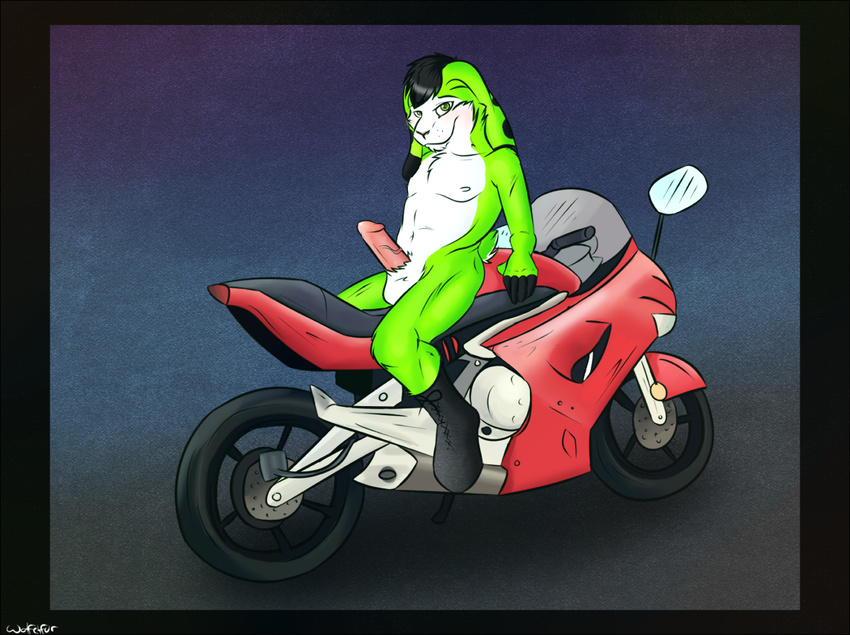 erection fur green_fur invalid_color lagomorph looking_at_viewer male mammal motorcycle naughty_face nude penis pinup pose rabbit solo suggestive wolfehfur