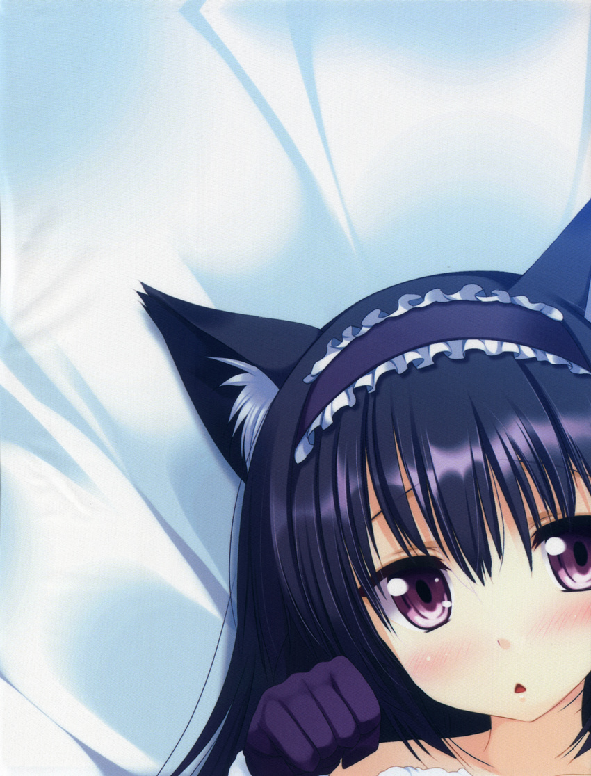 dakimakura partial_scan stitchme tagme