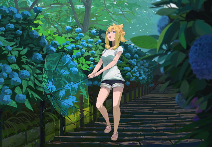 1girl absurdres after_rain blonde_hair blue_eyes blue_flower breasts clenched_hands color_contrast day flower foliage full_body gochiwa highres holding holding_umbrella hydrangea leaf looking_up medium_breasts medium_hair original outdoors outstretched_hand path pink_footwear sandals scenery shirt short_ponytail shorts sidelocks solo standing three_quarter_view transparent transparent_umbrella tree umbrella water_drop white_shirt wide_ponytail