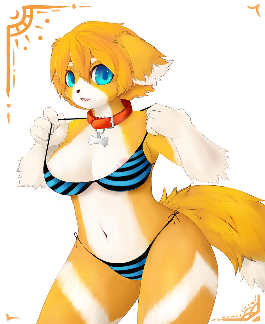 areola big_breasts bikini blonde_hair blue_eyes bone breasts butter_(n&#257;sheru) camel_toe canine clothed clothing collar curves cute dog female fluffy fluffy_tail golden_fur hair hi_res knot looking_at_viewer mammal markings n&#257;sheru navel nip_slip nipples pulling skimpy solo stripes swimsuit tag tight_clothing undressing voluptuous wide_hips