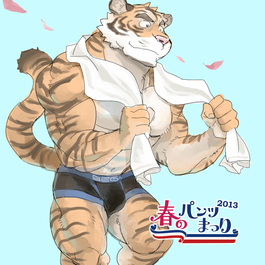 biceps bigger_version_at_the_source body_markings boxer_briefs boxers bulge feline fur grin invalid_color male mammal markings muscles orange_fur paws pecs pink_nose plain_background pose sega smile solo standing stripes tiger topless towel underwear