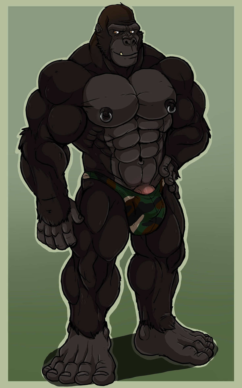 5_toes abs anthro ape arody balls beefcake biceps big_muscles black_fur brown_eyes bulge camo fangs fur gorilla green_background grey_fur grin handsome human_feet male mammal muscles mutant_serpentina nipple_piercing nipples pecs penis piercing plain_background pose presenting primate sheath smile solo speedo standing swimsuit thong toes toned topless underwear vein