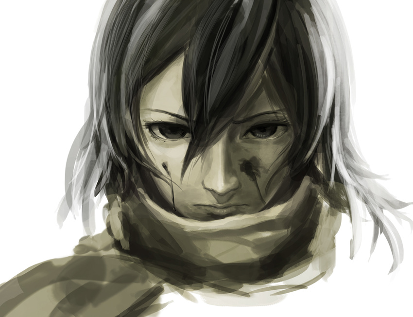 bad_id bad_pixiv_id black_eyes black_hair blood mikasa_ackerman realistic scarf shingeki_no_kyojin short_hair solo yoshifumi