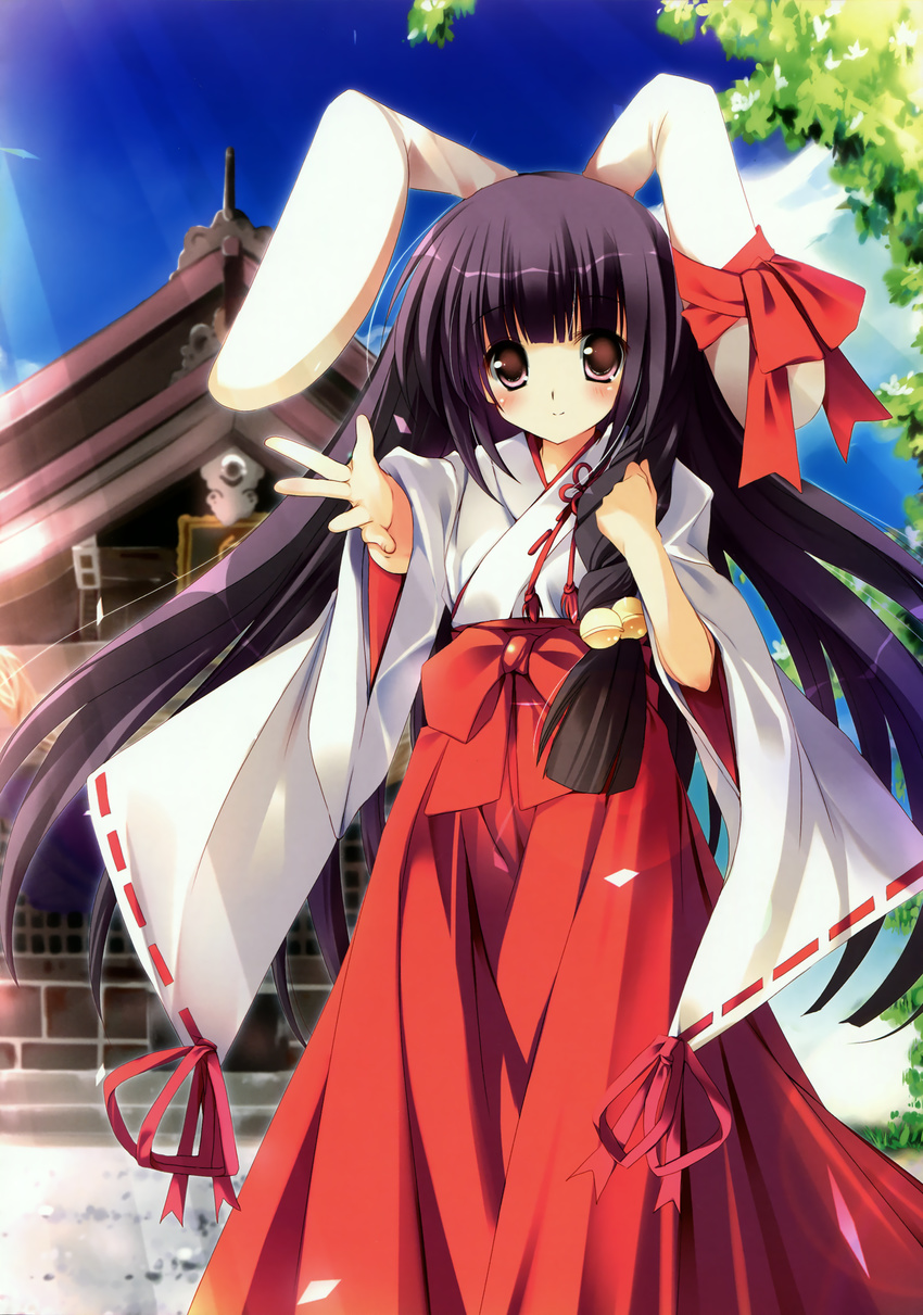 absurdres animal_ears blush brown_eyes building bunny_ears copyright_request highres house japanese_clothes kimono long_hair long_sleeves looking_at_viewer miko mizusawa_mimori purple_hair red_ribbon ribbon ribbon-trimmed_sleeves ribbon_trim shrine standing tareme very_long_hair wide_sleeves