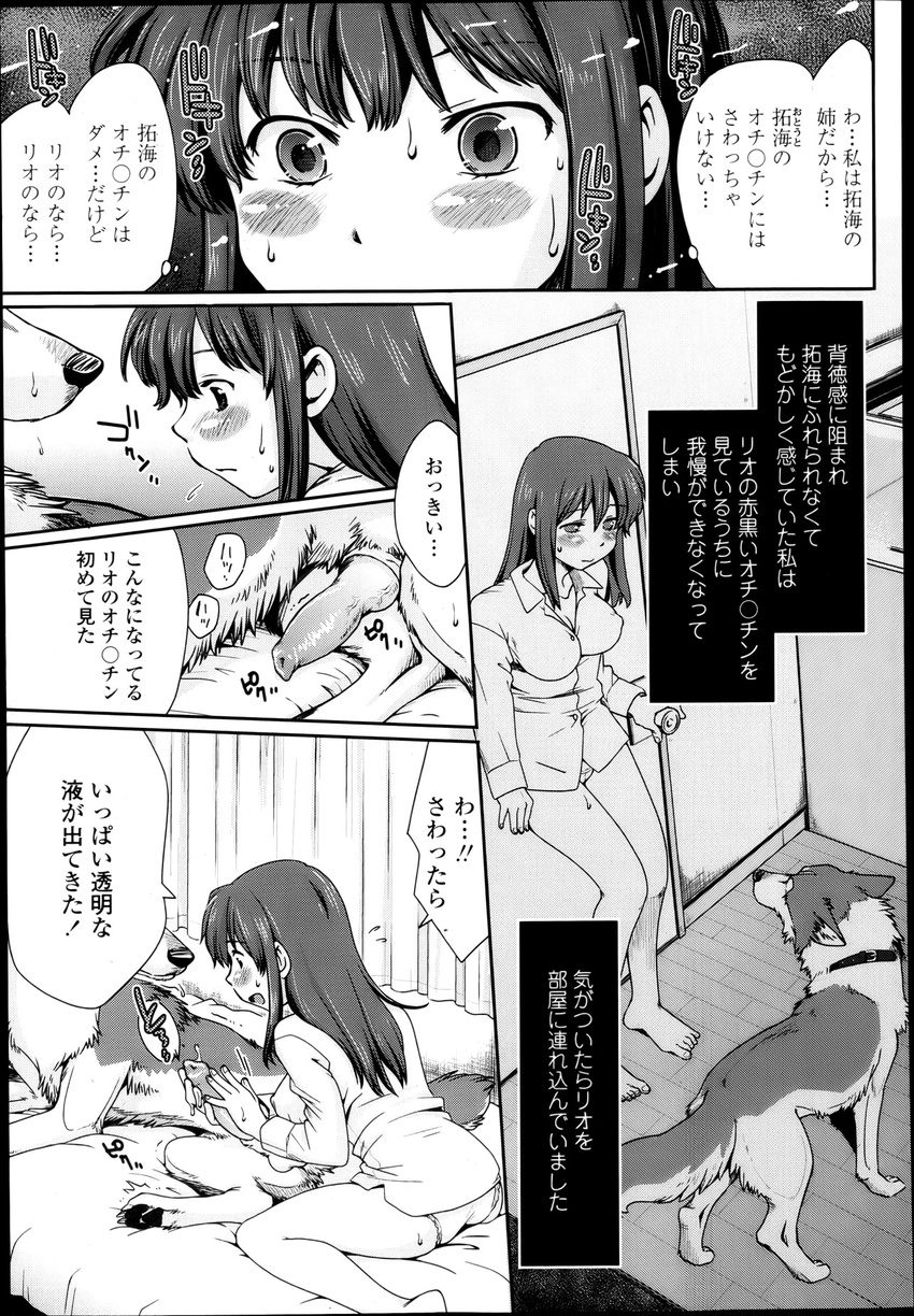 breasts canine dog doujinshi female feral handjob human husky interspecies male mammal ookami_kodomo_no_ame_to_yuki penis pussy soukosouji the_wolf_children_ame_and_yuki translated yuki