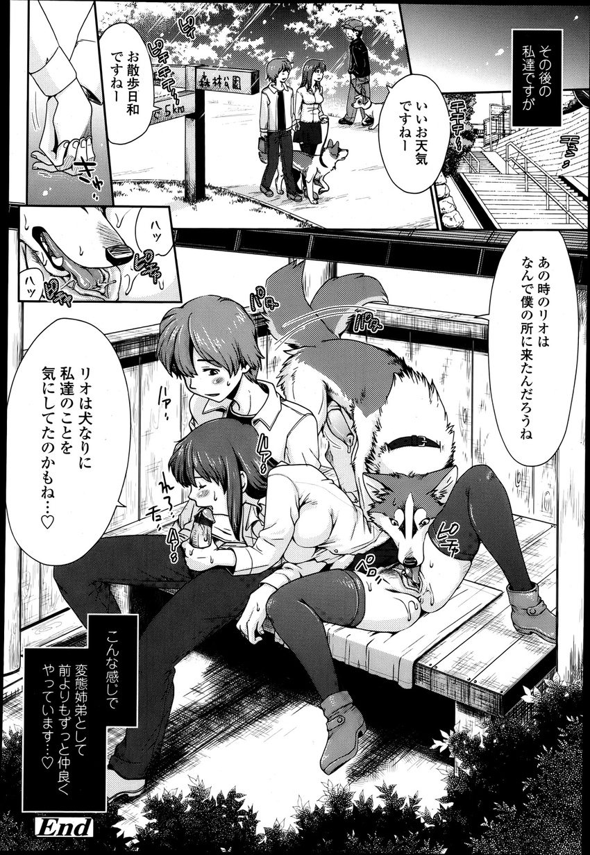 ame brother canine censored dog doujinshi female feral human husky incest interspecies male mammal ookami_kodomo_no_ame_to_yuki penis sibling sister soukosouji the_wolf_children_ame_and_yuki translated yuki