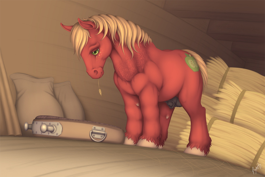 balls barn big_macintosh_(mlp) cutie_mark equine feral friendship_is_magic horse male my_little_pony penis pony solo standing wiredhooves