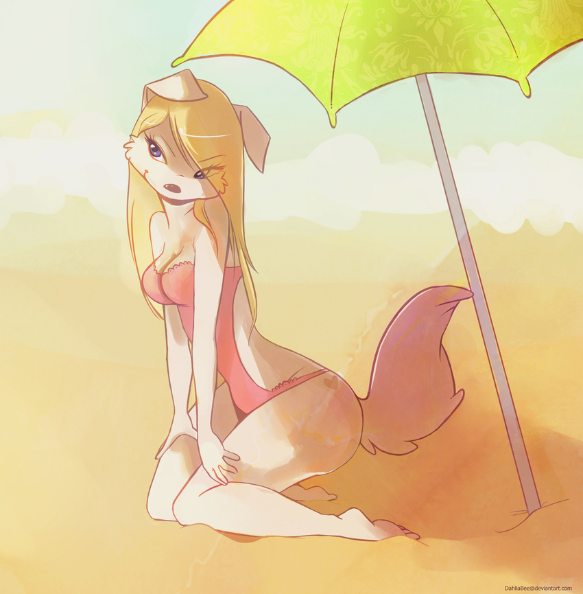 anthro blonde_hair blue_eyes canine cleavage clothed clothing dahliabee female fur hair kneeling mammal one-piece_swimsuit smile swimsuit umbrella white_fur