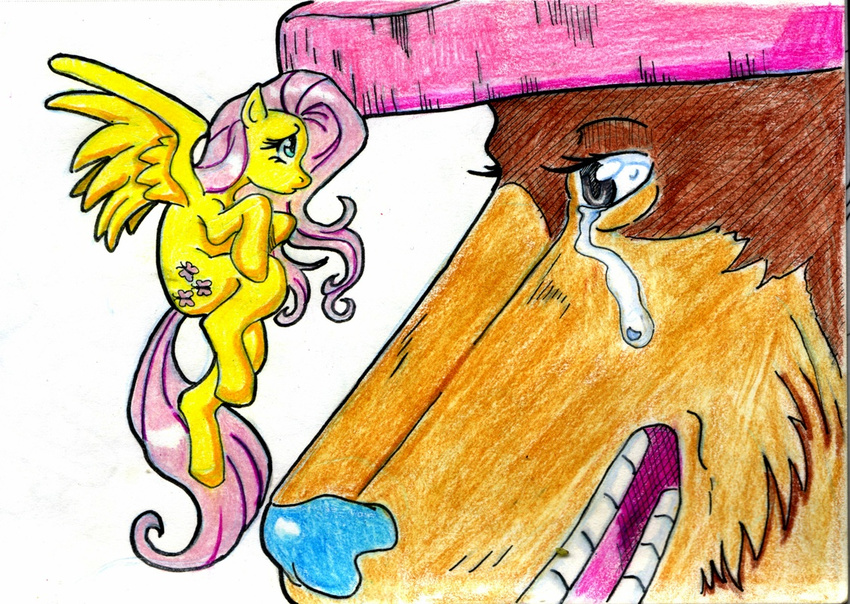 brown_hair crossover cutie_mark duo equine female feral fluttershy_(mlp) friendship_is_magic fur green_eyes hair hat horse irie-mangastudios male mammal monster_point my_little_pony one_piece pegasus pink_hair pony size_difference stare tears tony_tony_chopper wings yellow_fur