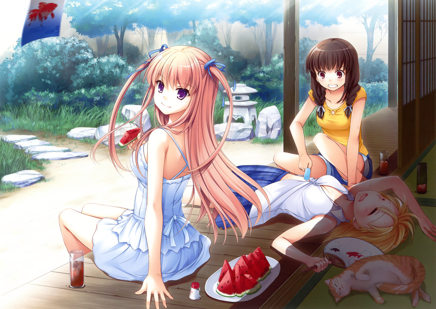 3girls absurdres cat food fruit highres multiple_girls nakajima_yuka outdoors possible_duplicate sleeping watermelon