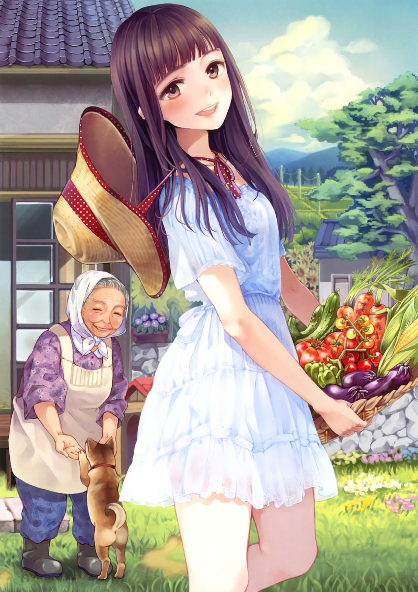 :d absurdres basket brown_eyes brown_hair carrot copyright_request corn cucumber dog dress eggplant food hat highres huge_filesize matsuzaki_miyuki multiple_girls open_mouth scan smile sundress tomato vegetable white_dress