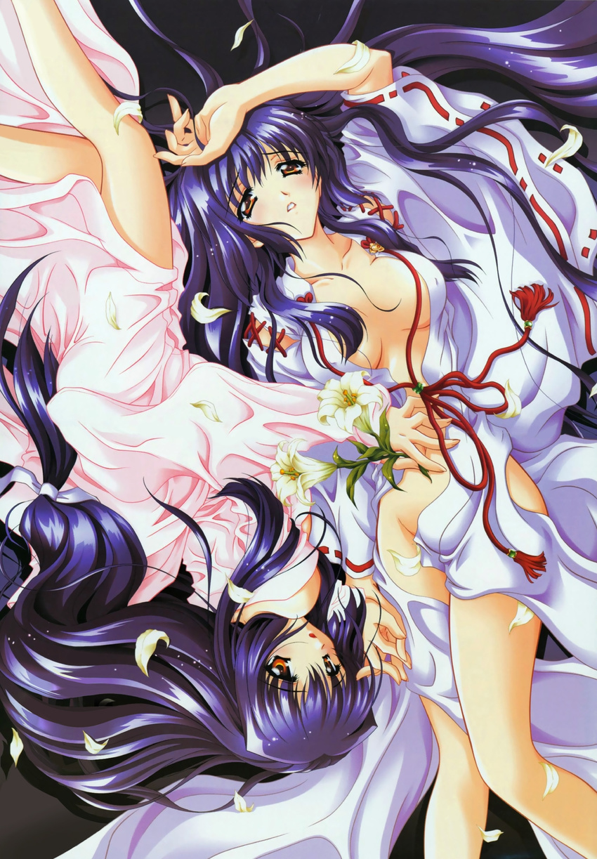 arm_up bangs breasts breasts_apart carnelian cross-laced_clothes flower half-closed_eyes hand_on_another's_stomach highres holding holding_flower holding_hands japanese_clothes kao_no_nai_tsuki kimono kuraki_mizuna kuraki_suzuna legs lily_(flower) lily_petals long_hair long_sleeves low-tied_long_hair medium_breasts multiple_girls no_bra off_shoulder open_clothes open_kimono orange_eyes parted_lips petals purple_hair ribbon-trimmed_sleeves ribbon_trim siblings sidelocks sisters tareme tassel teeth twins upside-down very_long_hair wide_sleeves