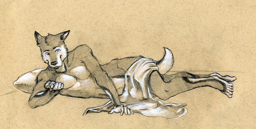 canine looking_at_viewer lying male mammal nude on_side sheet solo tush wolf