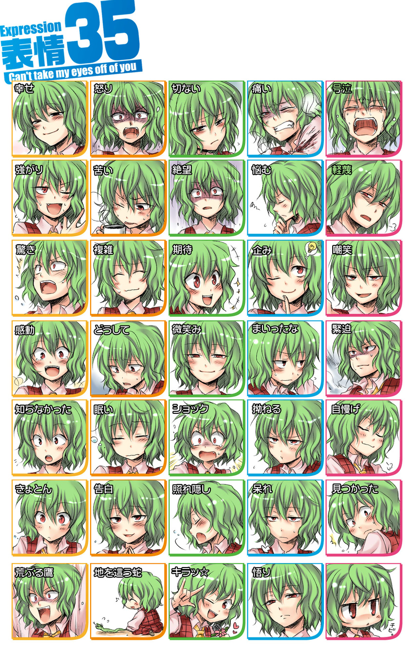 :t \m/ \o/ arms_up ascot blush chart expressions green_hair heart highres kazami_yuuka microphone mokku one_eye_closed outstretched_arms plaid plaid_skirt plaid_vest red_eyes skirt skirt_set slit_pupils snake touhou translated vest wince