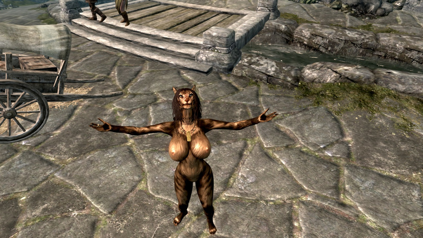 khajiit skyrim tagme