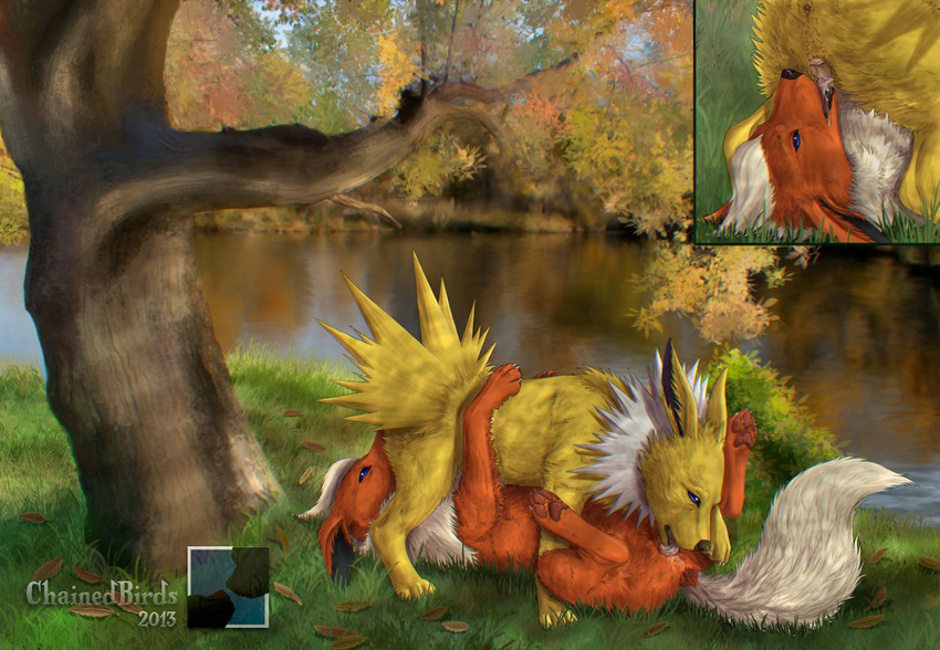 chainedbirds flareon jolteon porkyman tagme