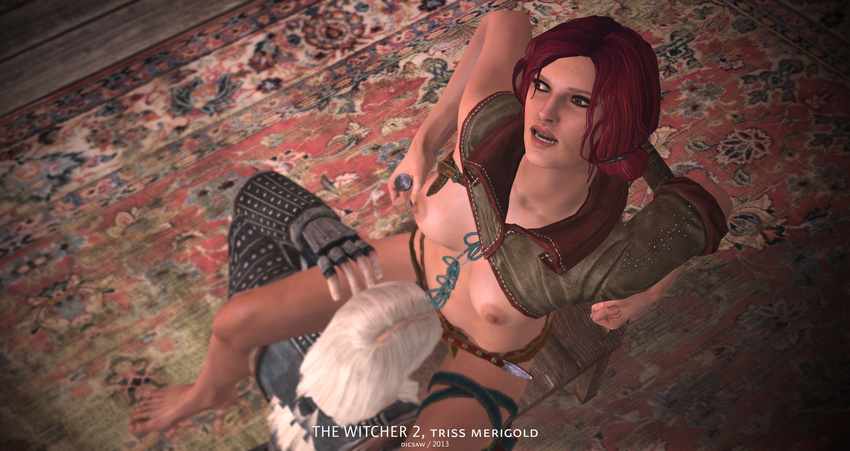 dicsaw tagme the_witcher_2 triss_merigold