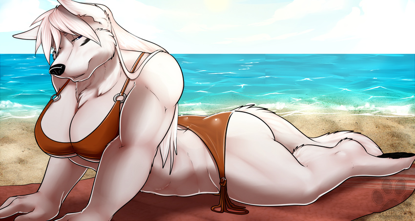beach big_breasts bikini breasts butt canine cleavage cleo_(yutrah) clothed clothing cloud fasttrack37d female fur hair looking_at_viewer mammal muscles muscular_female seaside sky solo swimsuit thick_thighs tight_clothing white_fur wolf
