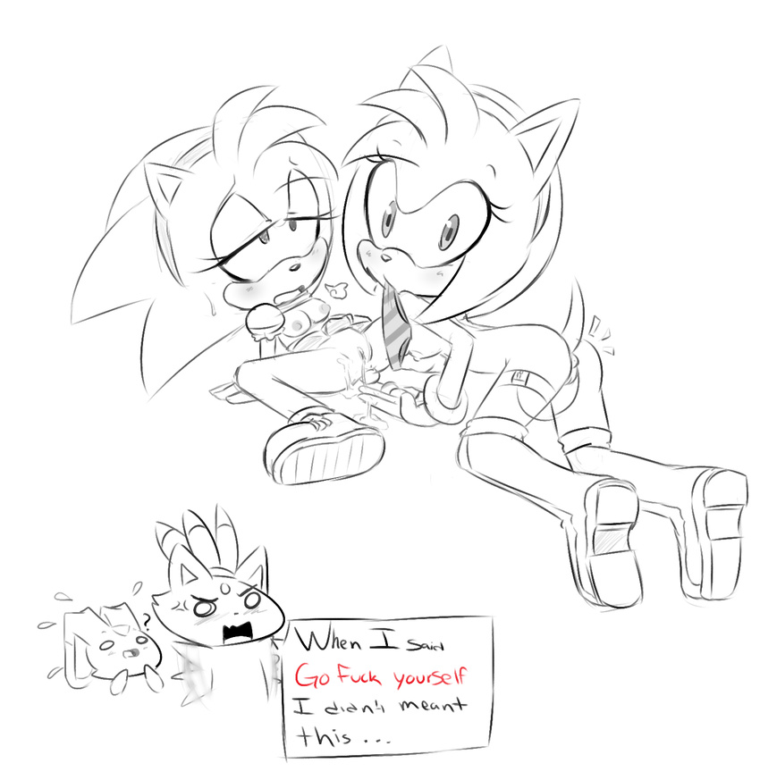 amy_rose blaze_the_cat cream_the_rabbit hearlesssoul sonic_team