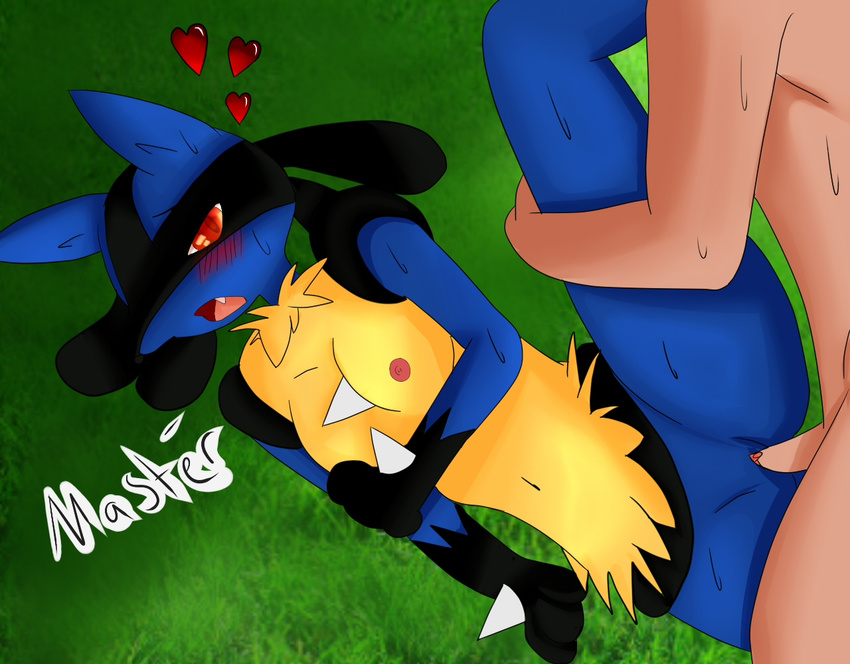 lucario matimus91 porkyman tagme