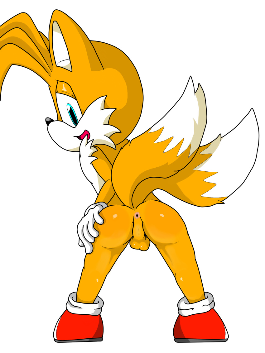 jetfrozen sonic_team tagme tails