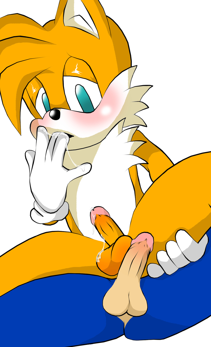 jetfrozen sonic_team sonic_the_hedgehog tagme tails