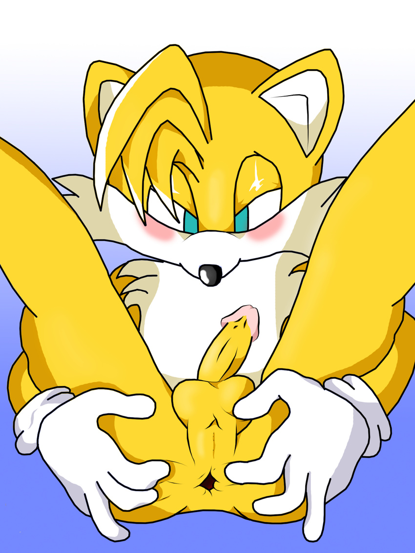 jetfrozen sonic_team tagme tails