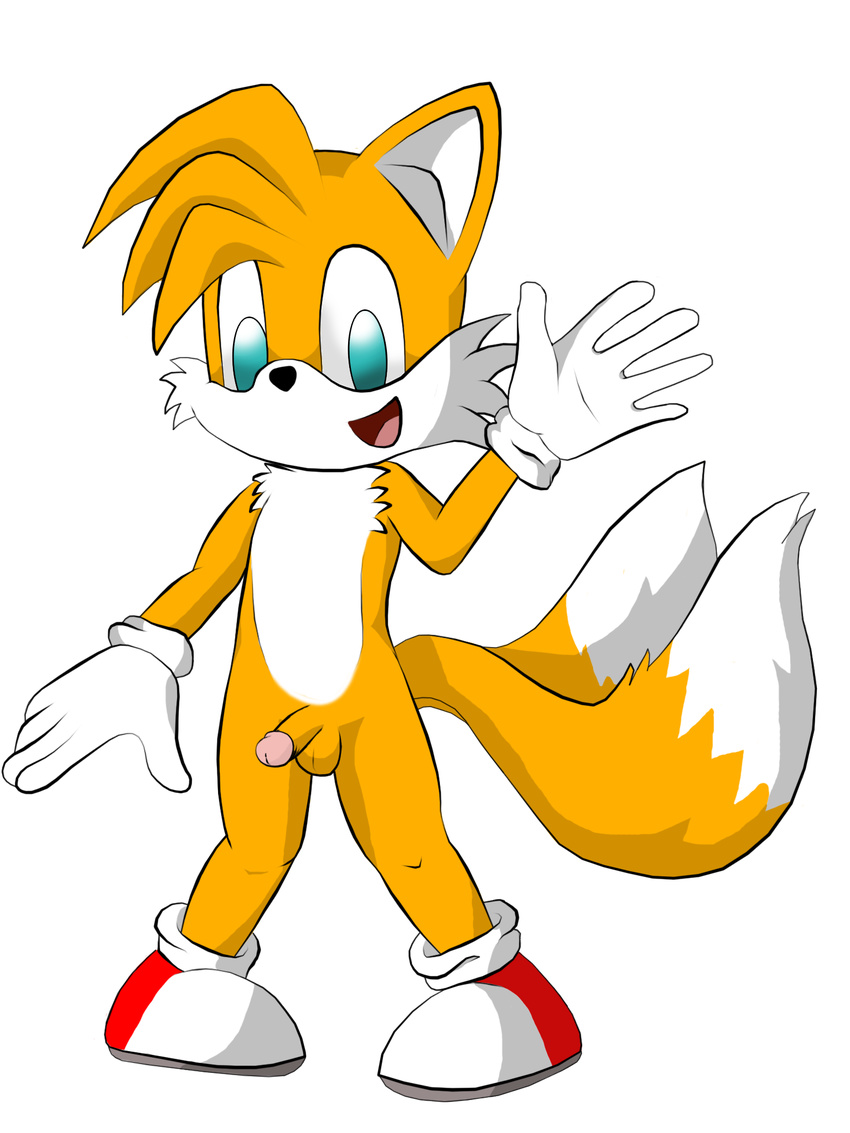 jetfrozen sonic_team tagme tails