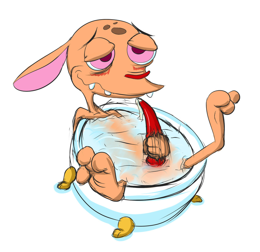 ren ren_and_stimpy ren_hoek tagme