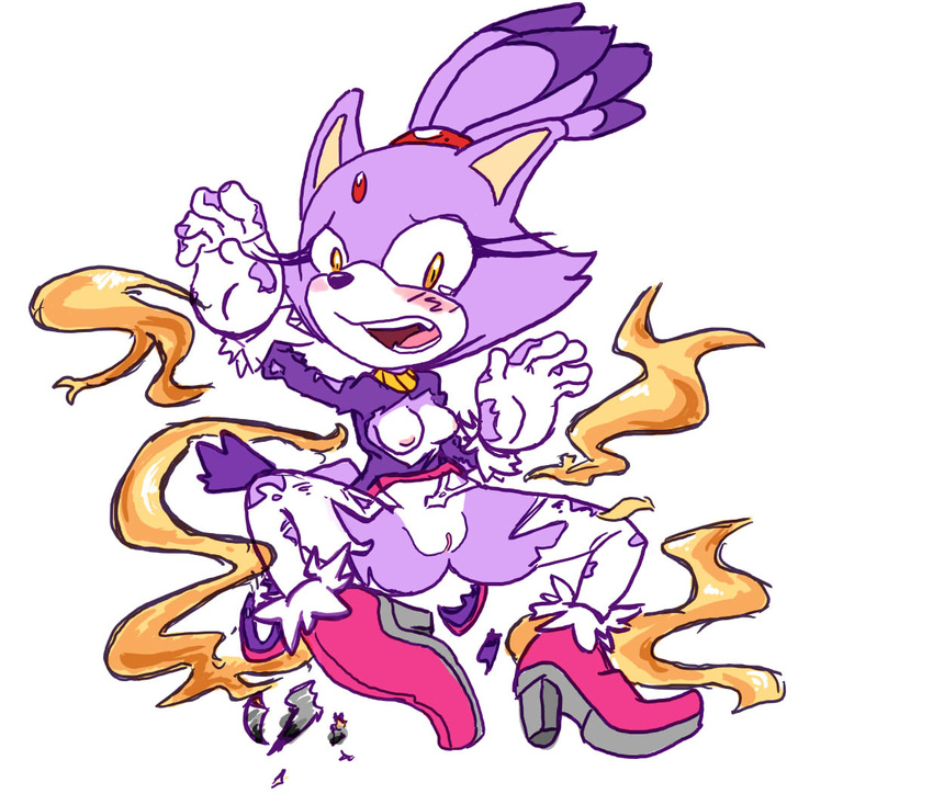 blaze_the_cat cloudz sonic_team tagme