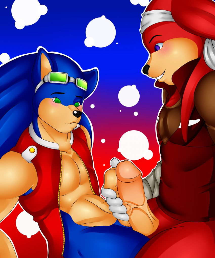 blackbear knuckles_the_echidna sonic_team sonic_the_hedgehog tagme