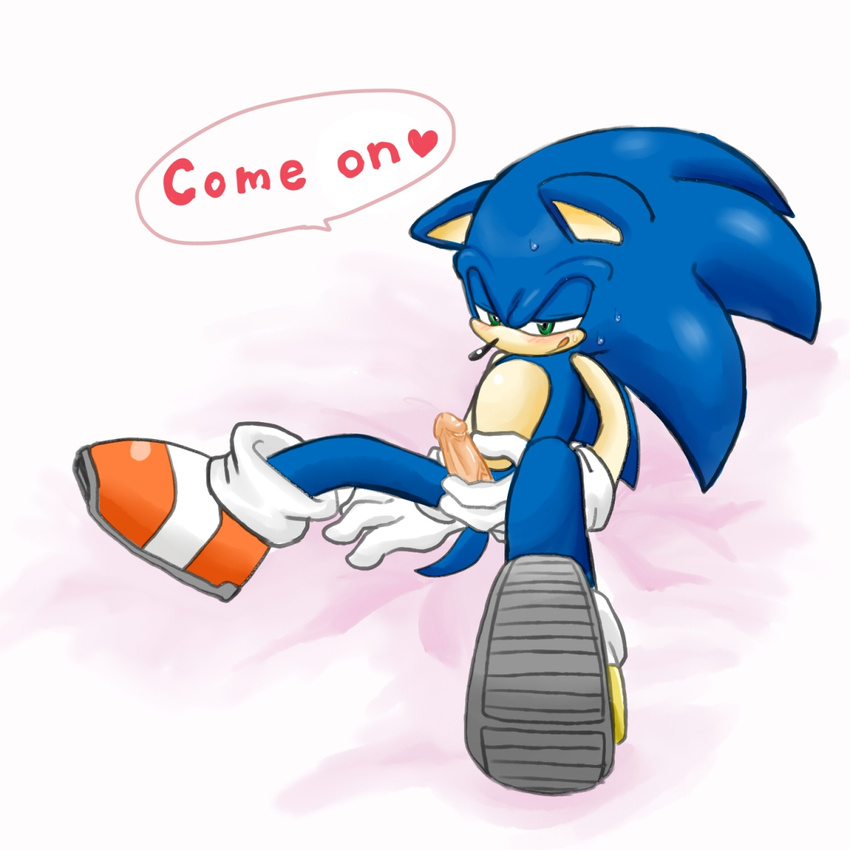 sonic_team sonic_the_hedgehog tagme zehn