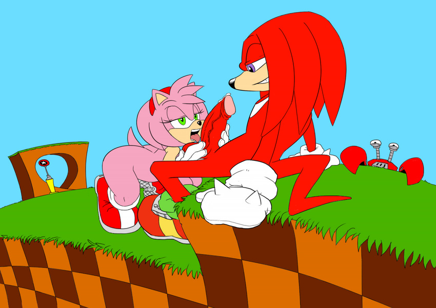 amy_rose knuckles_the_echidna majike ravnic sonic_team