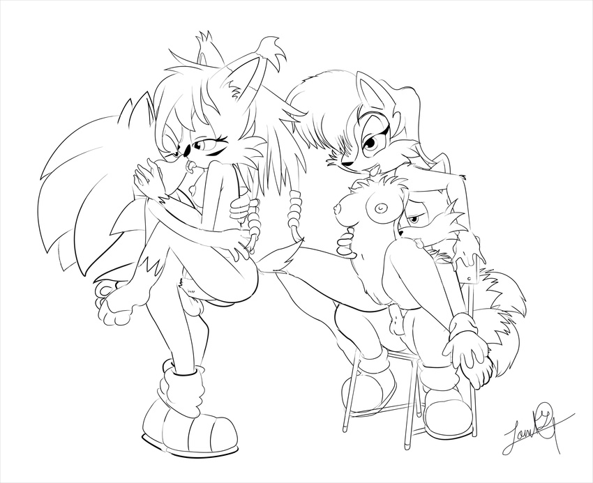 nicole_the_lynx oyashiro_thr43 sally_acorn sonic_team sonic_the_hedgehog tails