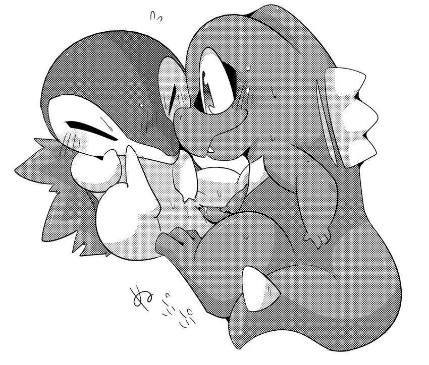 cyndaquil nelly porkyman tagme totodile