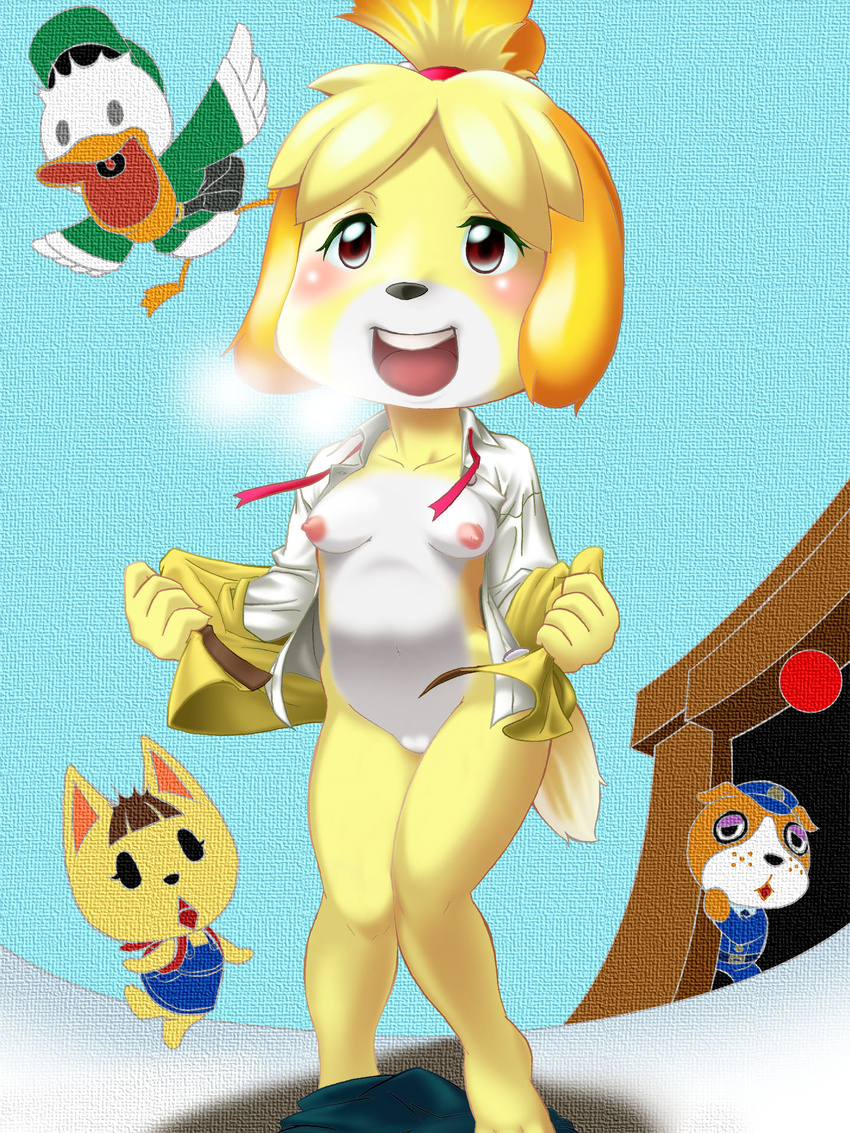 animal_crossing booker isabelle katie pete