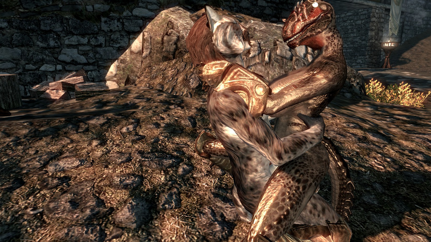 argonian khajiit skyrim tagme