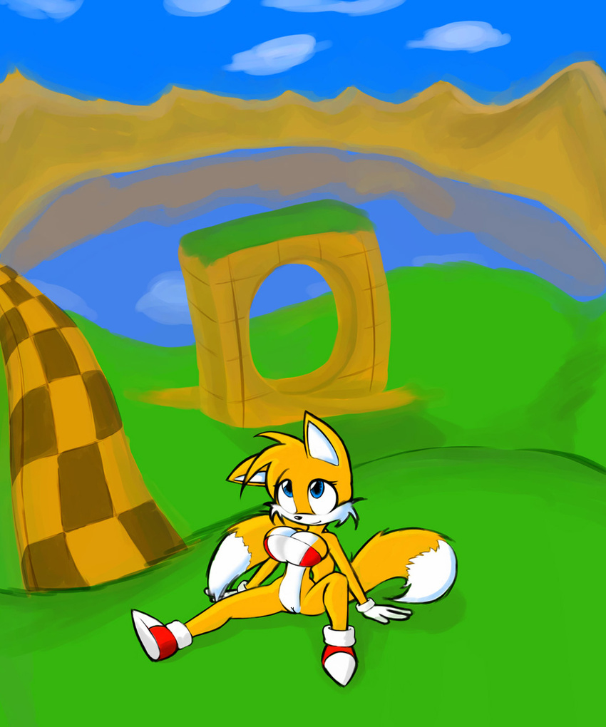 norithics rule_63 sonic_team tagme tails