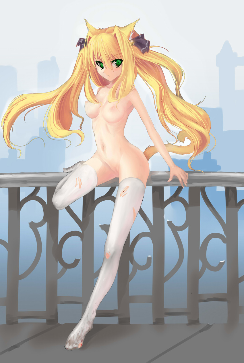 1girl animal_ears blonde_hair blood breasts cat_ears cat_tail female green_eyes highres larloses long_hair looking_at_viewer navel nipples nude outdoors pussy solo tail thighhighs torn_clothes uncensored