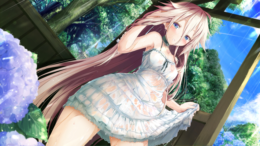 bare_shoulders blue_eyes blush bow bow_panties breasts choker daidou_(demitasse) day dress dutch_angle flower hair_ornament hair_tucking hairclip highres hydrangea ia_(vocaloid) leaf long_hair looking_at_viewer no_bra panties parted_lips pink_hair see-through see-through_silhouette skirt skirt_lift sky small_breasts solo sundress tree underwear very_long_hair vocaloid water wet wet_clothes white_dress white_panties