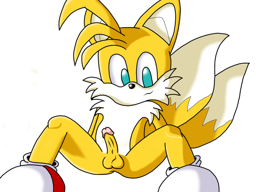 jetfrozen sonic_team tagme tails