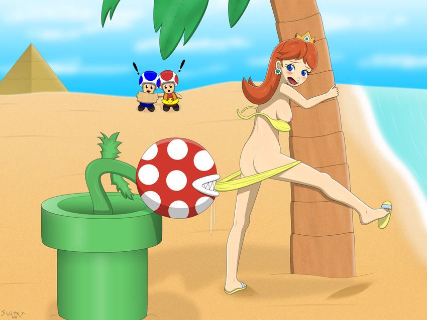 piranha_plant princess_daisy suktar super_mario_bros. toad