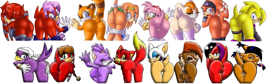 amy_rose blaze_the_cat fiona_fox marine_the_raccoon nicole_the_lynx rouge_the_bat sally_acorn shade_the_echidna sonic_team tikal_the_echidna vanilla_the_rabbit wave_the_swallow