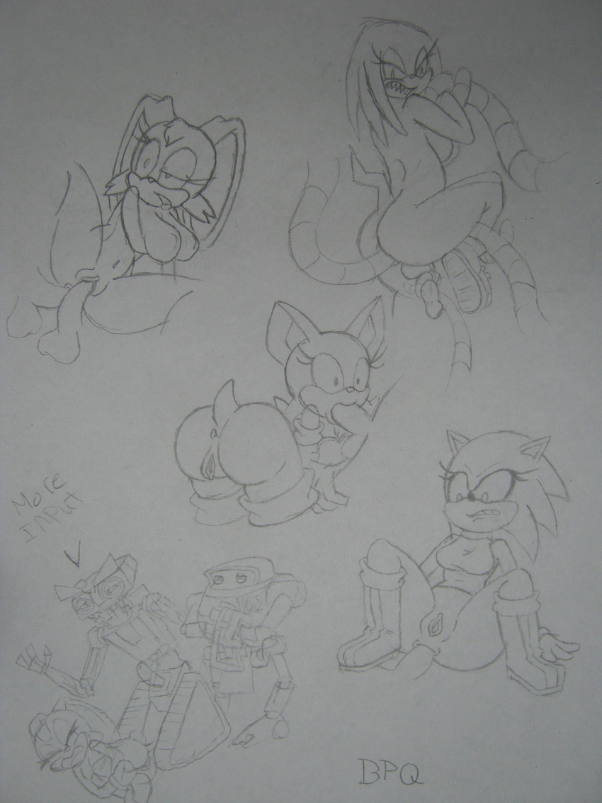 bpq00x cream_the_rabbit e-102_gamma knuckles_the_echidna rouge_the_bat rule_63 short_circuit sonic_team sonic_the_hedgehog vanilla_the_rabbit