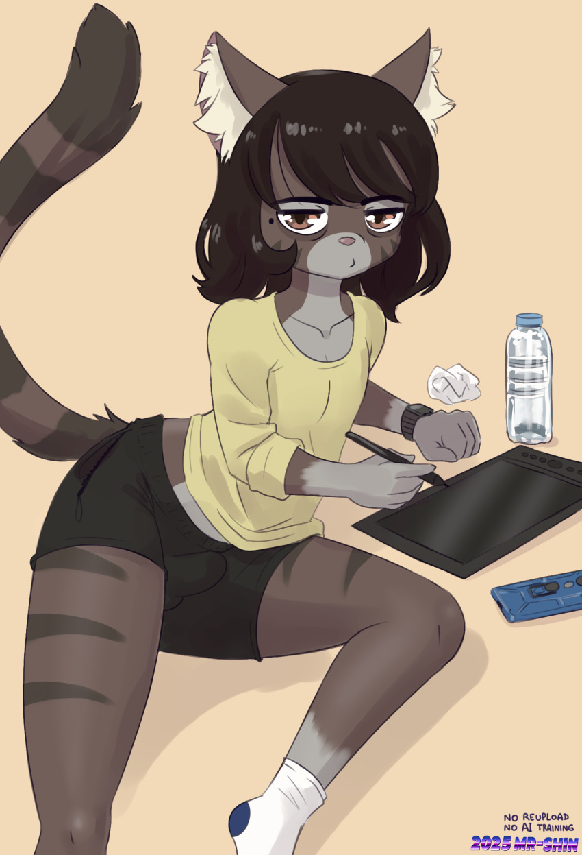 2025 5_fingers anthro big_butt black_bottomwear black_clothing black_shorts bottle bottomwear brown_body brown_eyes brown_fur bulge butt cat_sona_(mr-shin) clothing container domestic_cat drawing_tablet felid feline felis fingers footwear fur gloves_(marking) grey_body grey_fur hi_res inner_ear_fluff leg_markings looking_at_viewer male mammal markings midriff mole_(marking) mr-shin pink_inner_ear pink_nose pupils shirt shorts socks socks_(marking) solo thick_thighs topwear tuft water_bottle white_body white_clothing white_footwear white_fur white_inner_ear_fluff white_socks wide_hips yellow_clothing yellow_shirt yellow_topwear