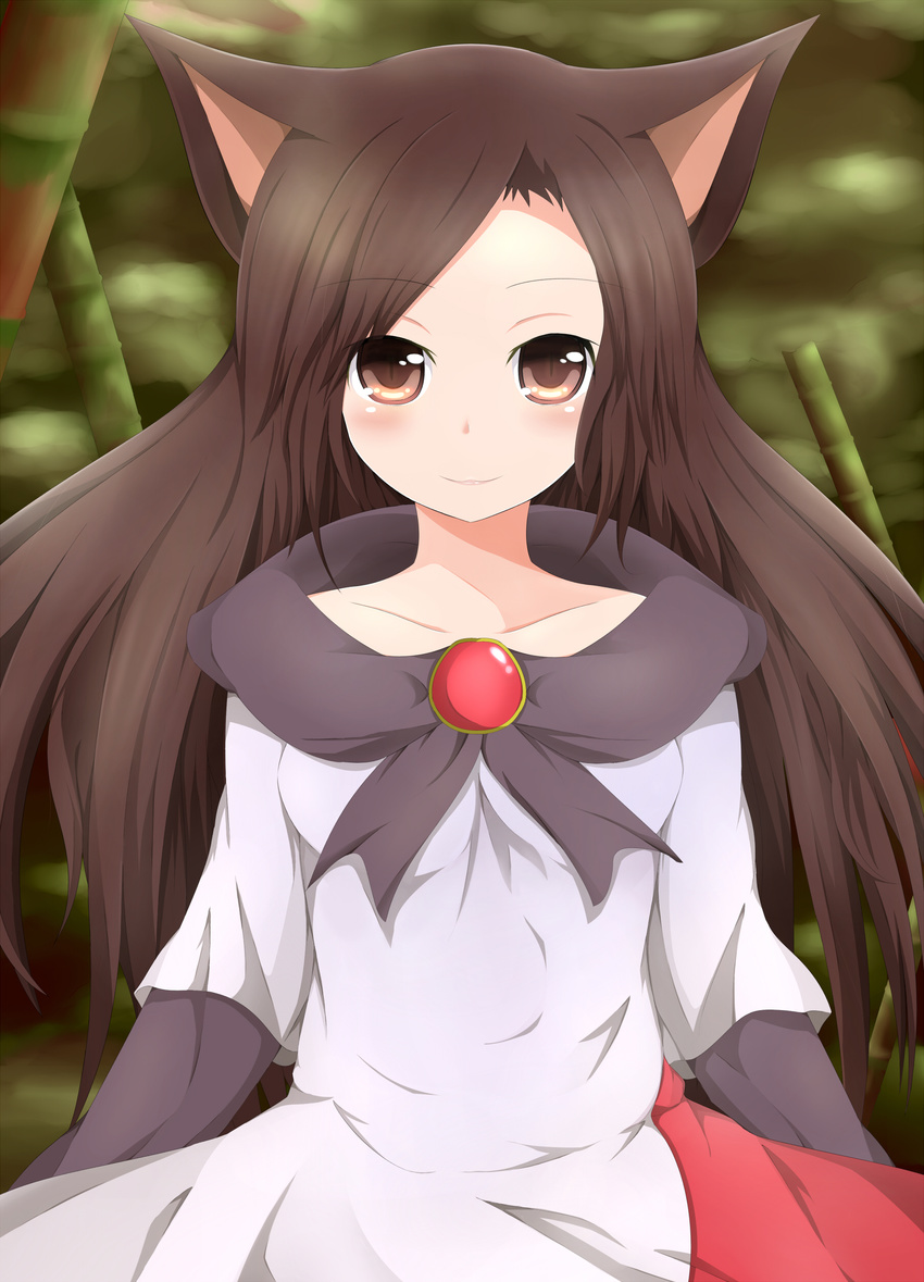 absurdres animal_ears bad_id bad_pixiv_id blush brooch brown_eyes brown_hair dress highres imaizumi_kagerou jewelry long_hair masa_masa slit_pupils smile solo touhou wolf_ears